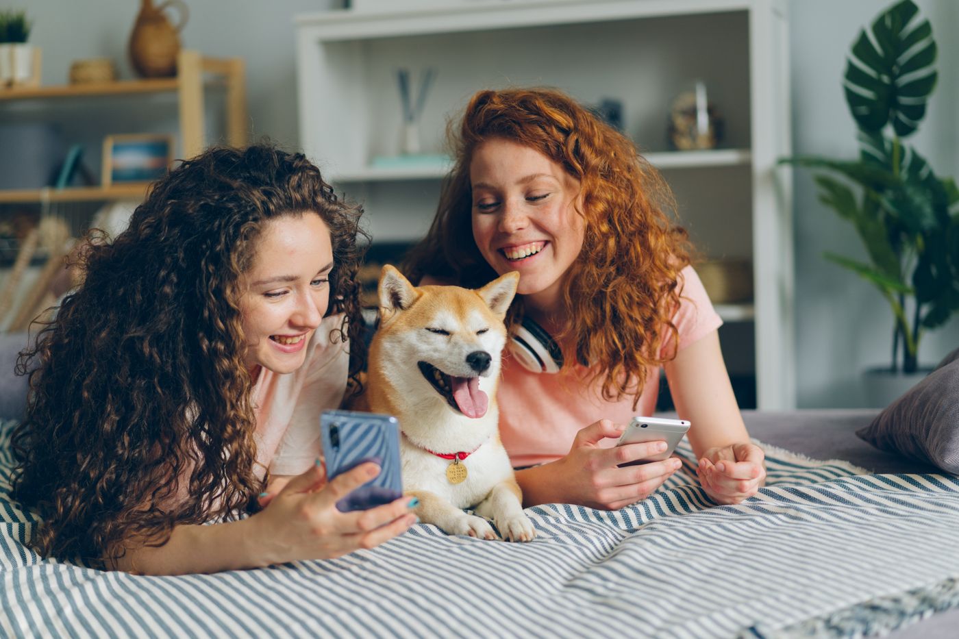 Two friends laughing on a bed with a dog while looking at photos on their phones