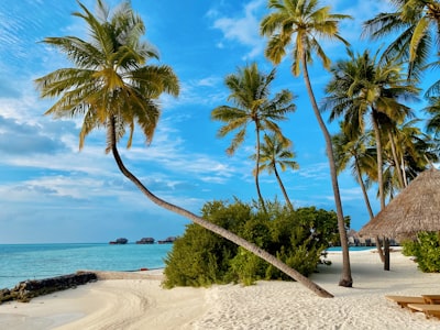 Grace Bay Club